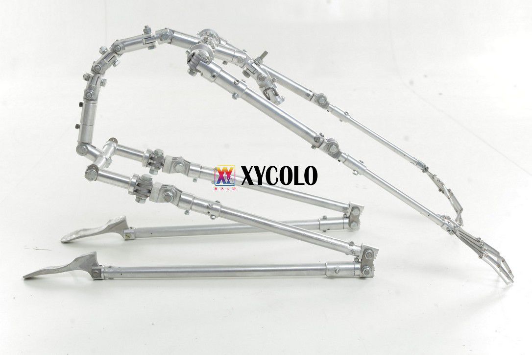 Squelette Xycolo 1